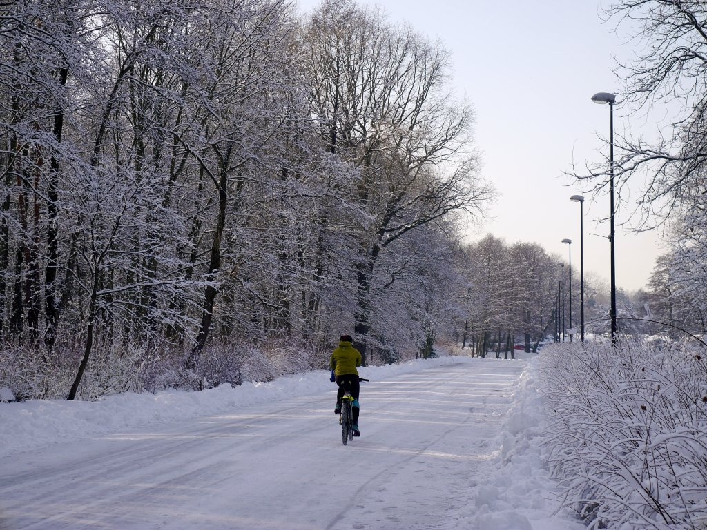 Kończy się projektowanie pierwszej w Katowicach velostrady. Katowice dostały 1 mln zł od metropolii