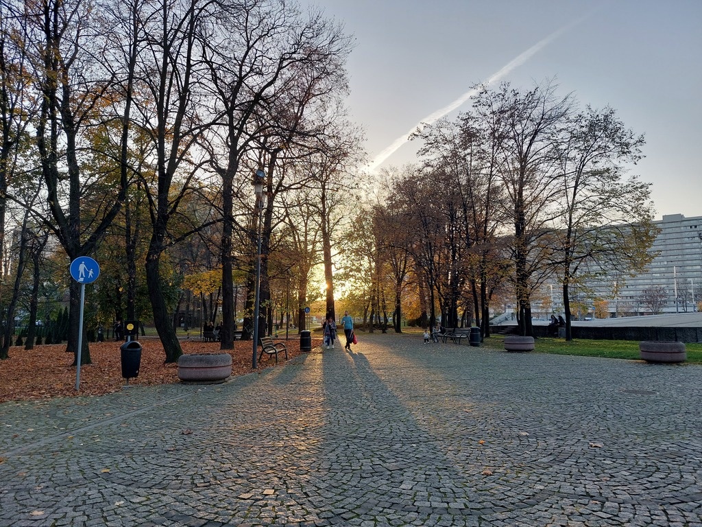 Dzień dobry Katowice. Dzisiaj sesja rady miasta