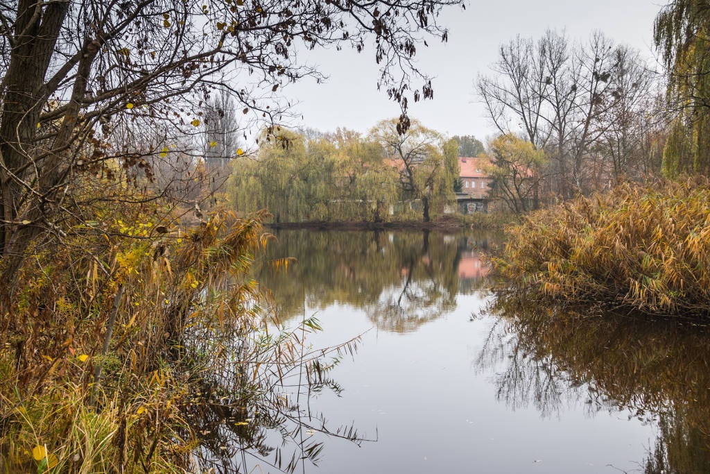 Staw Kozubek zostanie zrewitalizowany