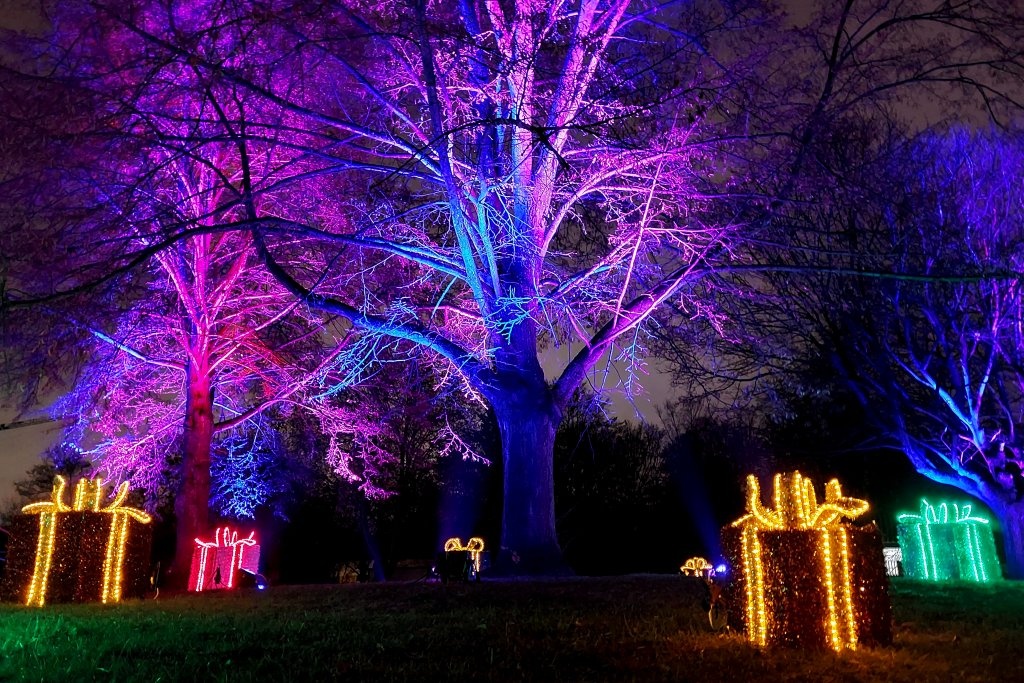 Tak wygląda Christmas Garden w śląskim zoo. Świetlne instalacje nie są szkodliwe dla zwierząt