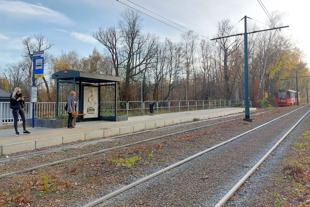 Zielone przystanki są gotowe. Za rok będą wyglądały lepiej