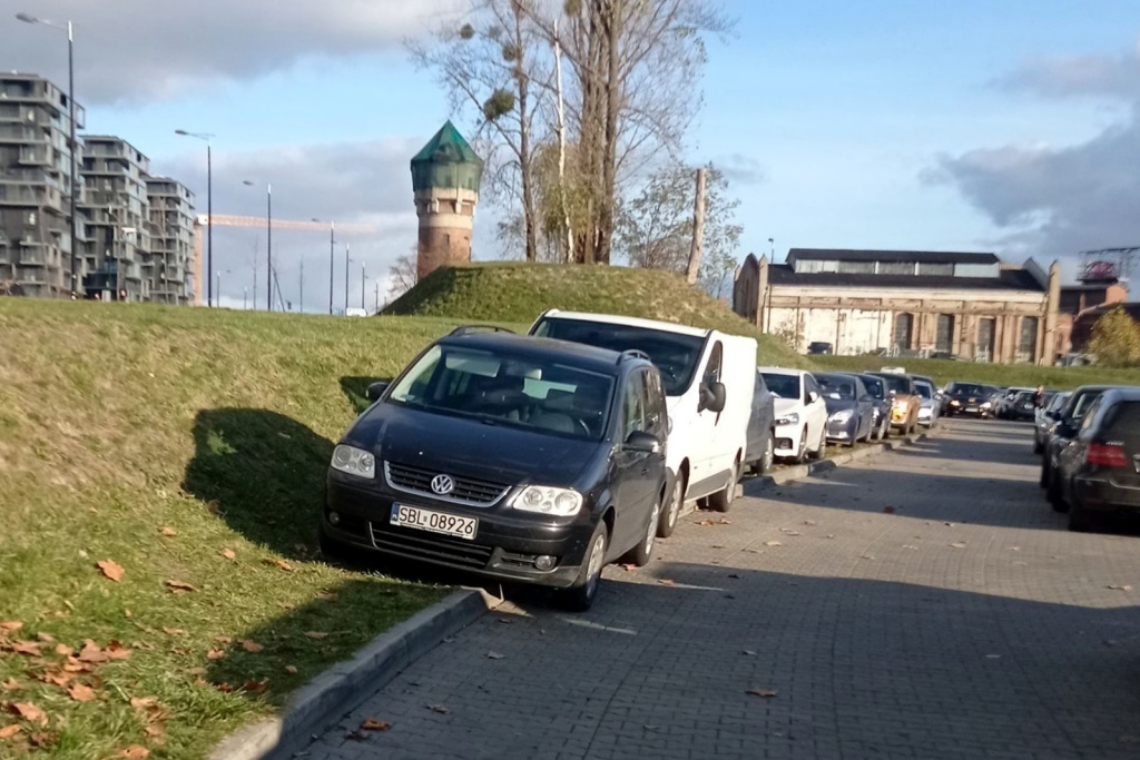 W strefie kultury parkingowa samowola trwa w najlepsze. Tylko kilku kierowców dostało mandaty