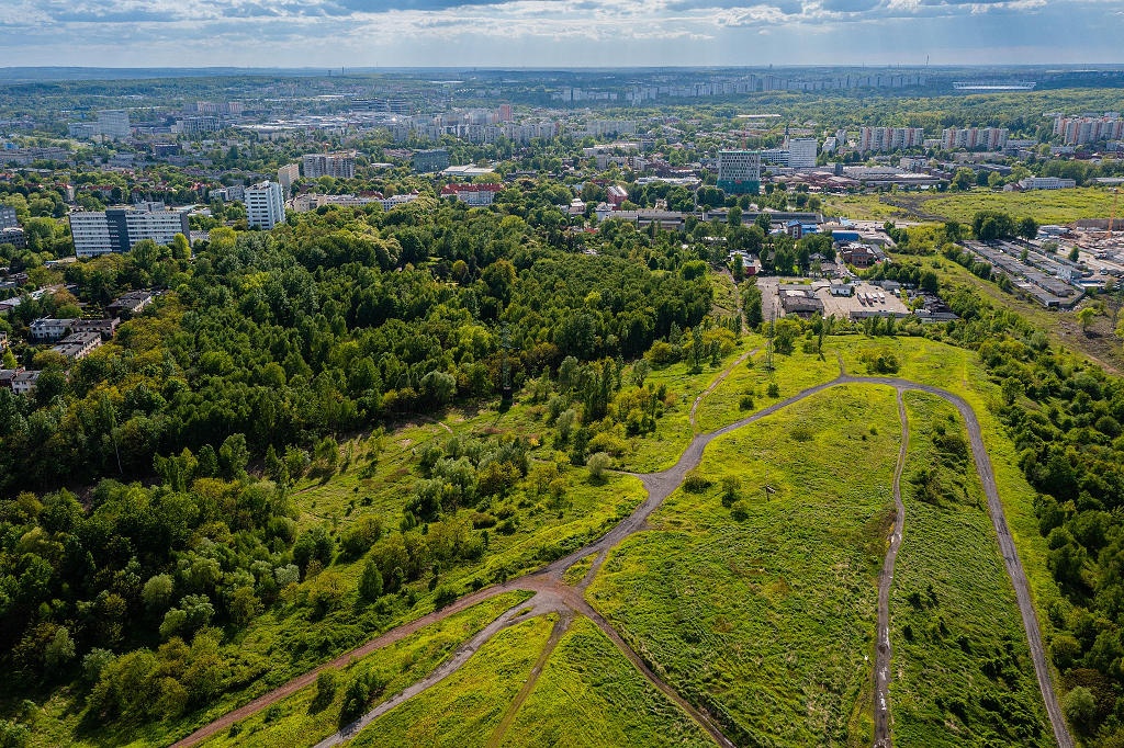 Dzień dobry Katowice. Są chętni na budowę parków