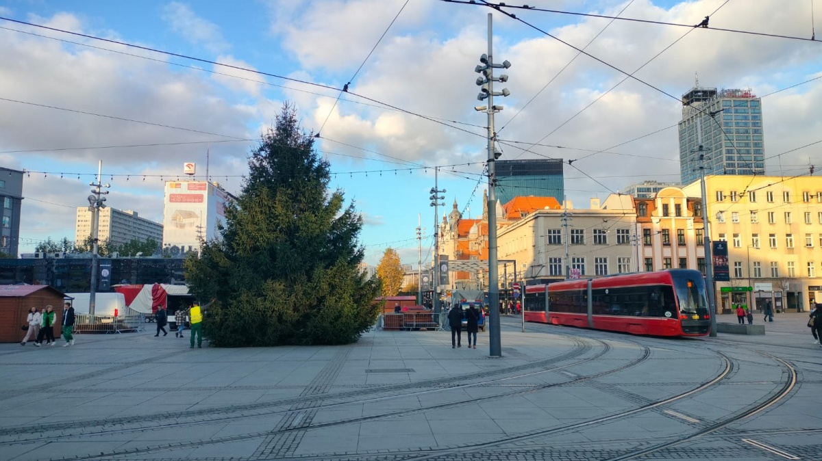 Na rynku stoi już świąteczna choinka