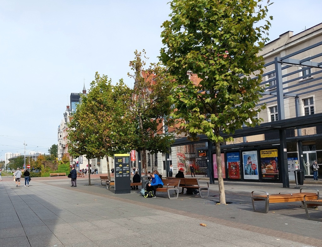 Dzień dobry Katowice. Duży problem z kolejną inwestycją rowerową