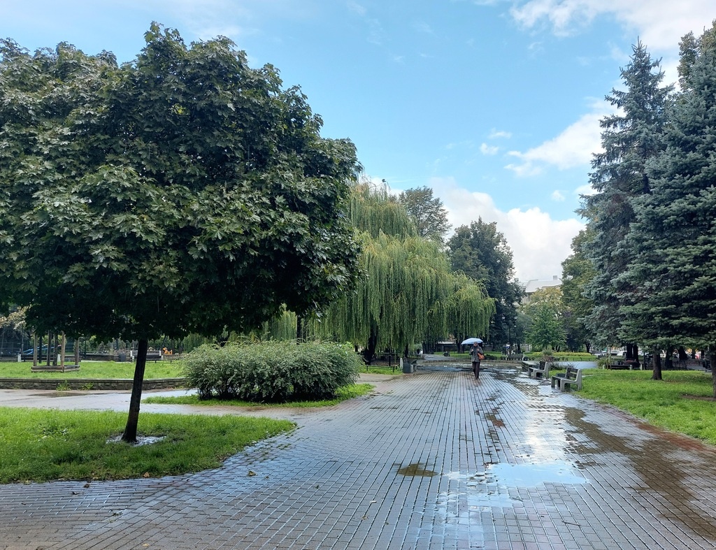 Dzień dobry Katowice. Znane są już wyniki głosowania w Budżecie Obywatelskim