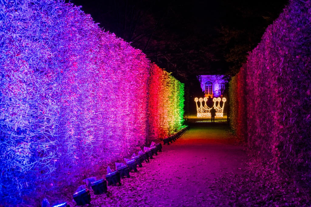 W śląskim ZOO powstanie ogród świateł