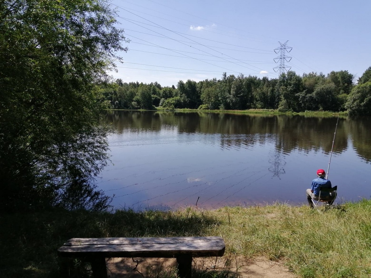 Wykonawcy chcą za dużo za modernizację Stargańca