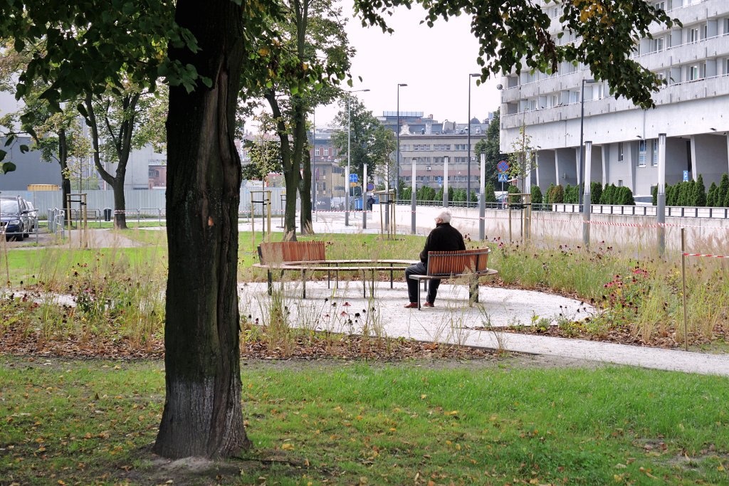Dzień dobry Katowice. Jest problem z realizacją zielonych inwestycji