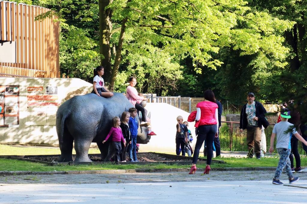 Drożeją bilety do zoo. Powodem są coraz wyższe koszty utrzymania