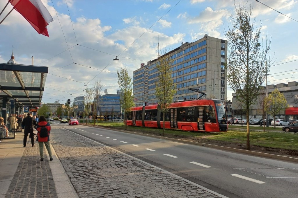 Aleja Korfantego zazielenia się. Są już wszystkie drzewa