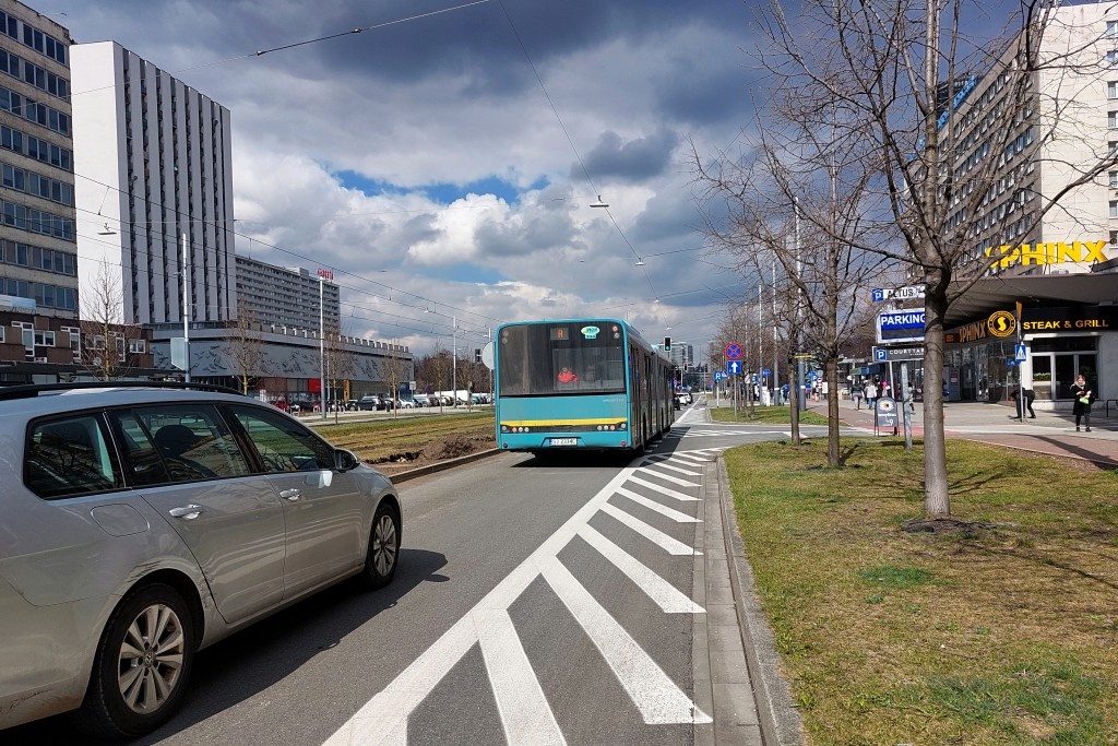 Dzień dobry Katowice. Drzewa na al. Korfantego gotowe do sadzenia
