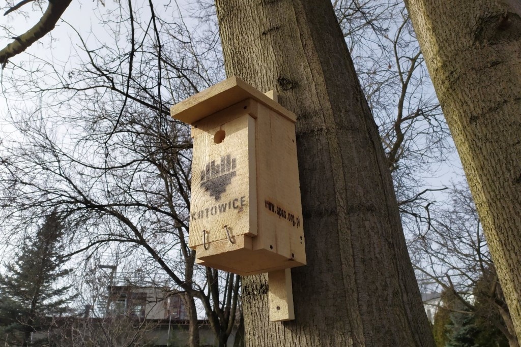 Miasto rozdaje budki dla ptaków. Szybko się rozchodzą