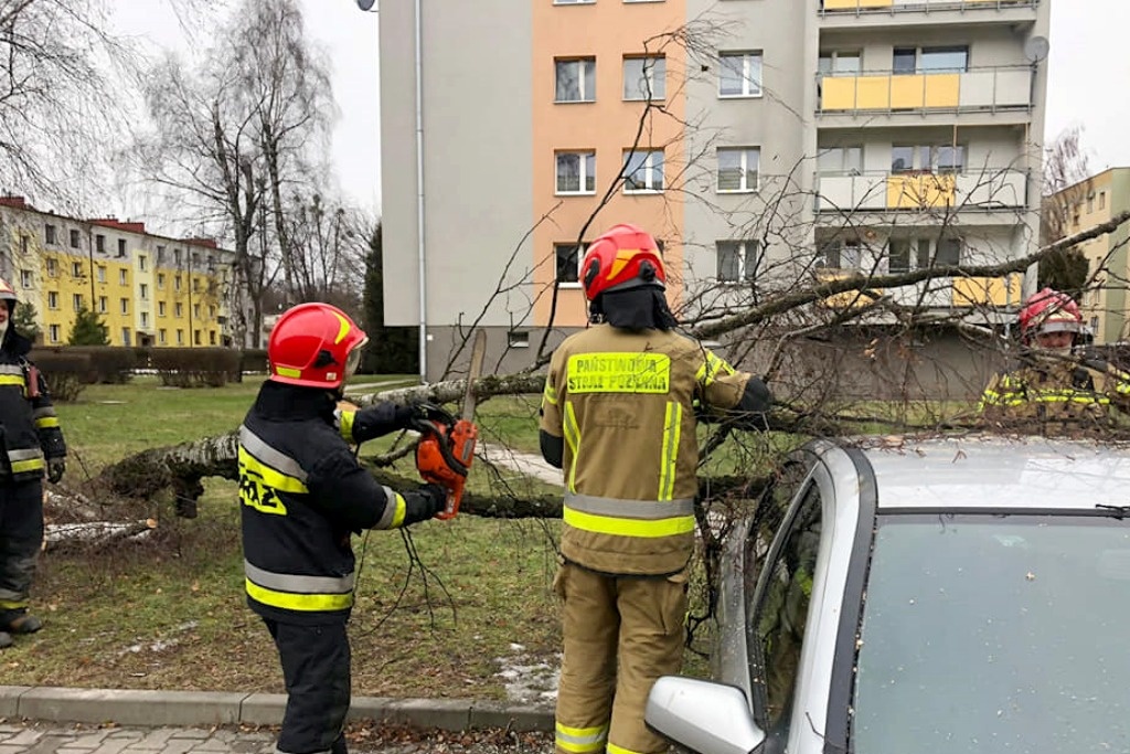 Wraca silny wiatr. IMGW ostrzega przed wichurami w całej Polsce