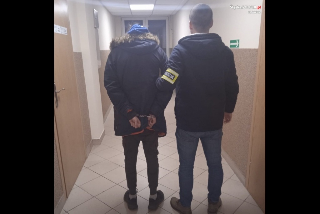 Zatrudnił się w sklepie i wynosił z niego zegarki
