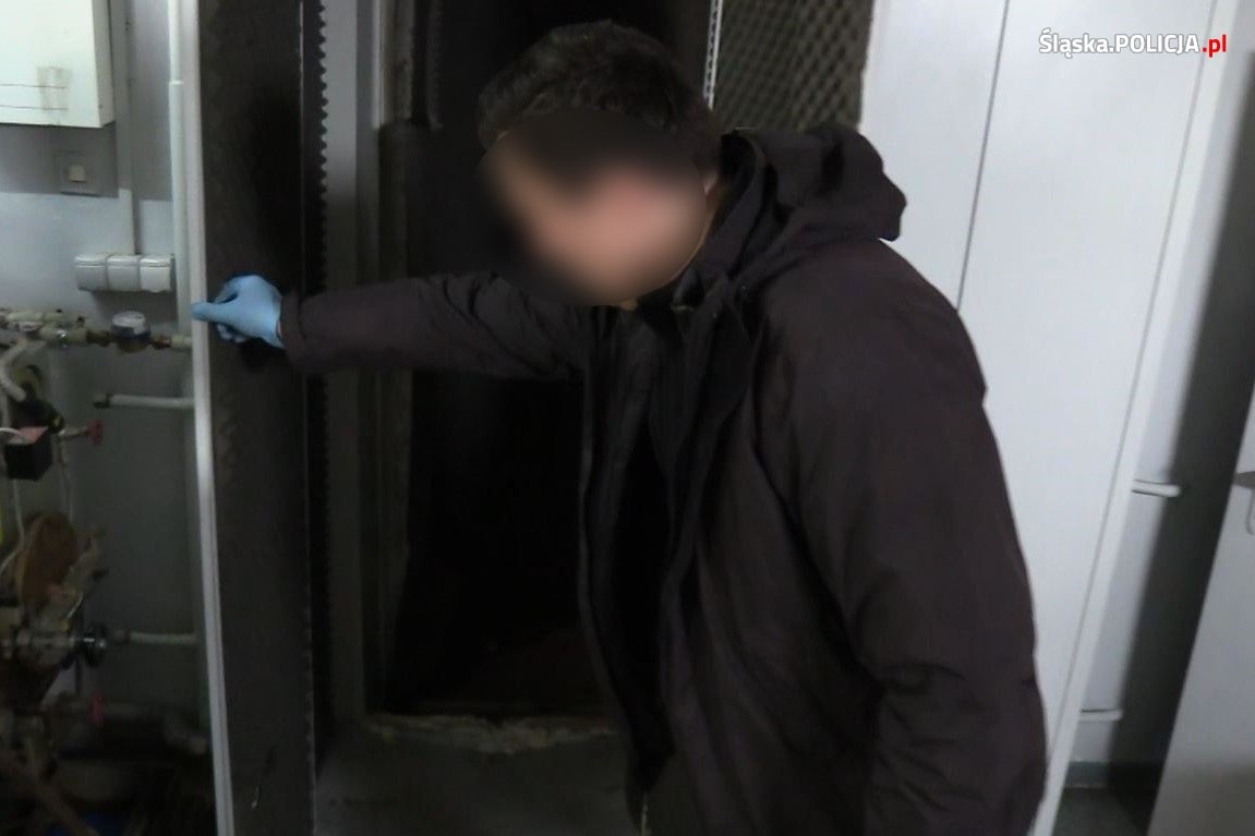 Zamiast pralni policjanci znaleźli plantację marihuany. Drzwi wejściowe były w szafie [WIDEO]