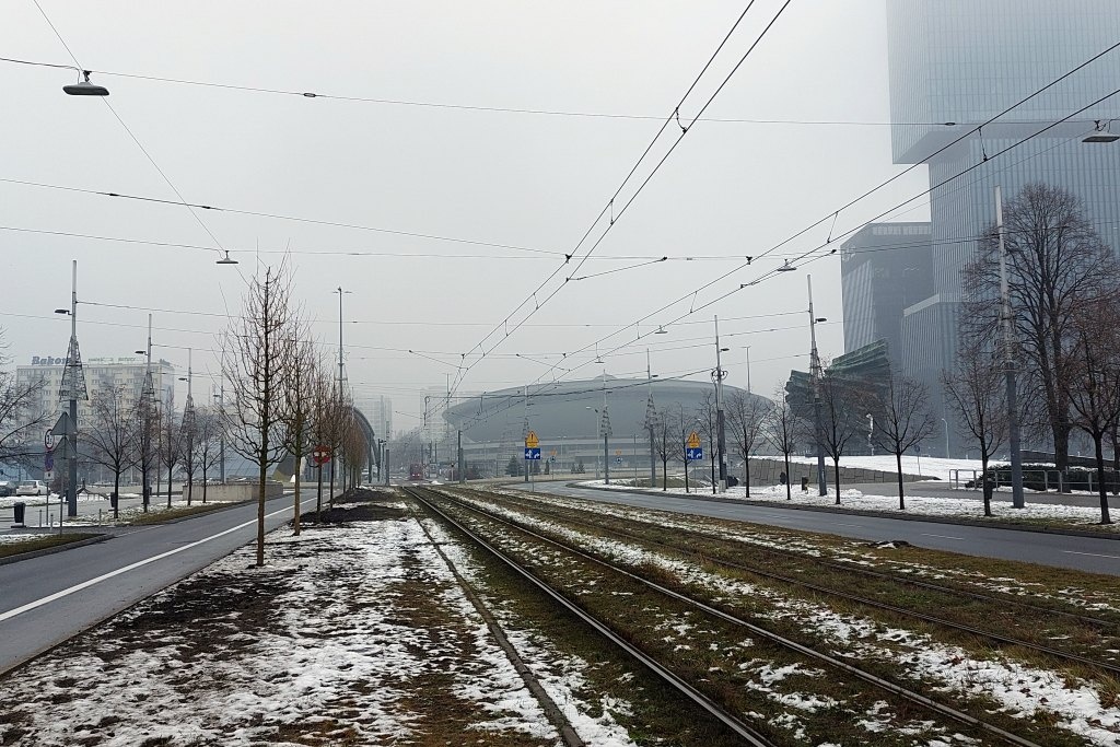 Klonowa aleja na al. Korfantego w połowie gotowa