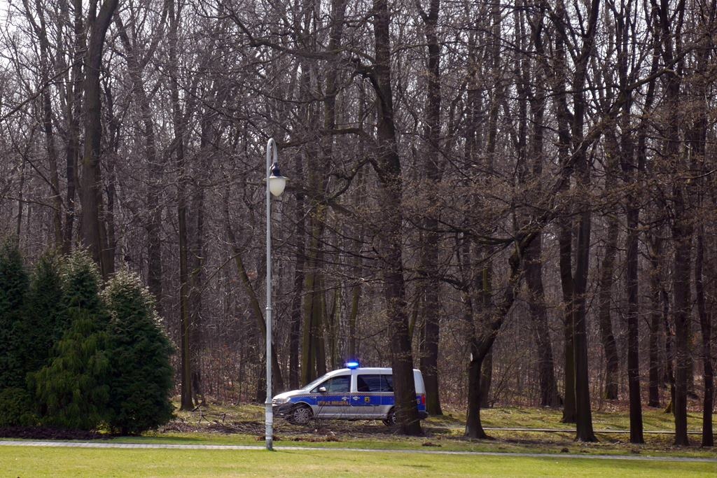 Zwłoki na ławce w Parku Kościuszki. Kolejne w Lesie Murckowskim