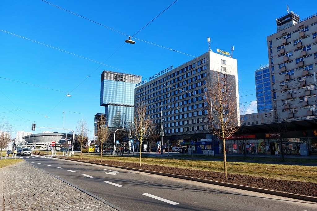 Dzień dobry Katowice. Trzeba przesadzić drzewa na Koszutce
