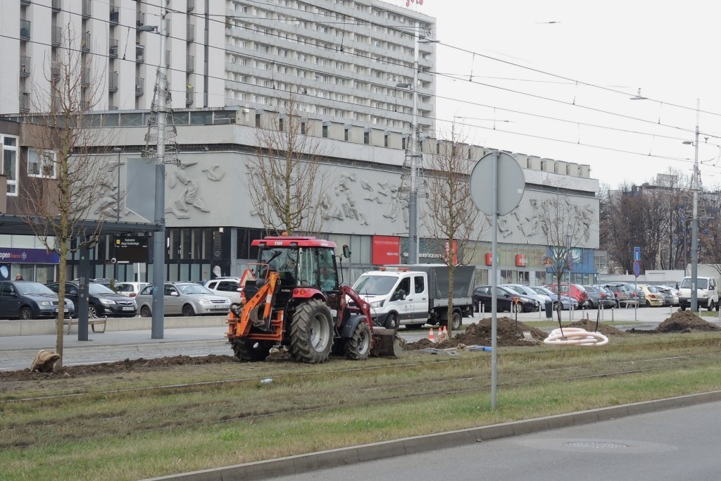 Na al. Korfantego rozpoczęło się sadzenie drzew