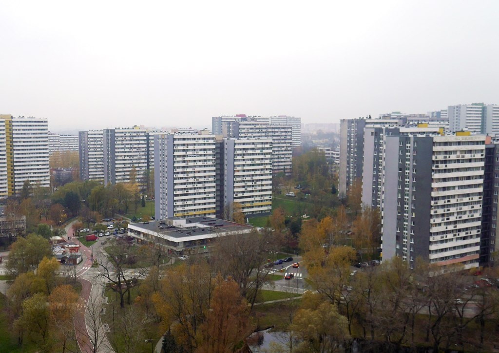 Na os. Tysiąclecia 21-latek pobił 81-letnią kobietę, bo zwróciła mu uwagę