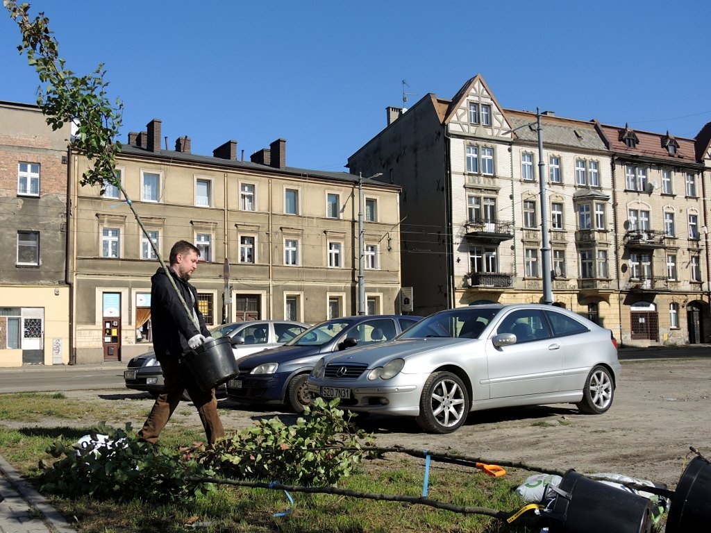 Mieszkańcy Załęża sadzą drzewa. Chcą likwidować wyspy ciepła