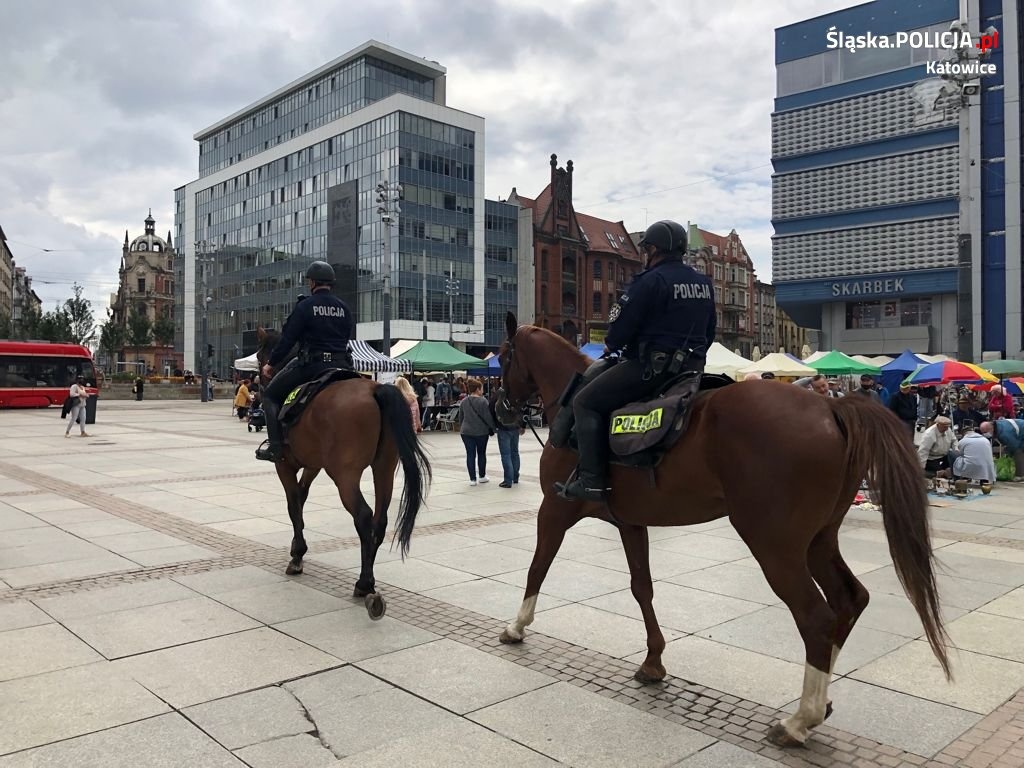 Policja tłumaczy się z interwencji konnego patrolu w centrum Katowic