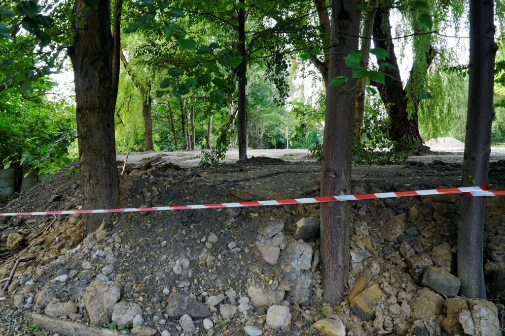 Dzierżawca zasypał drzewa. Miasto zawiadomiło prokuraturę