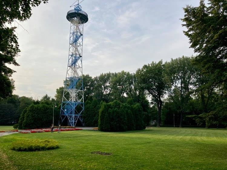 Katowice kupują kolejne elektryczne samochody. Będą wykorzystywane w parkach