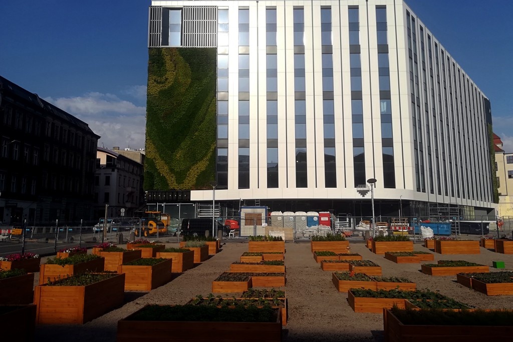 Powstała miejska farma w centrum Katowic. Będą bezpłatne warsztaty