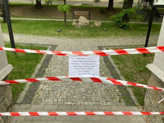 Inwazja azjatyckich biedronek na Koszutce. Miasto zamknęło plac zabaw [ZDJĘCIA]
