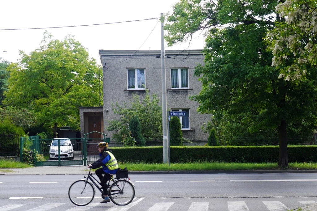 Prawie 50 drzew do wycięcia pod budowę drogi rowerowej. Jej projektowanie mocno się przedłużyło