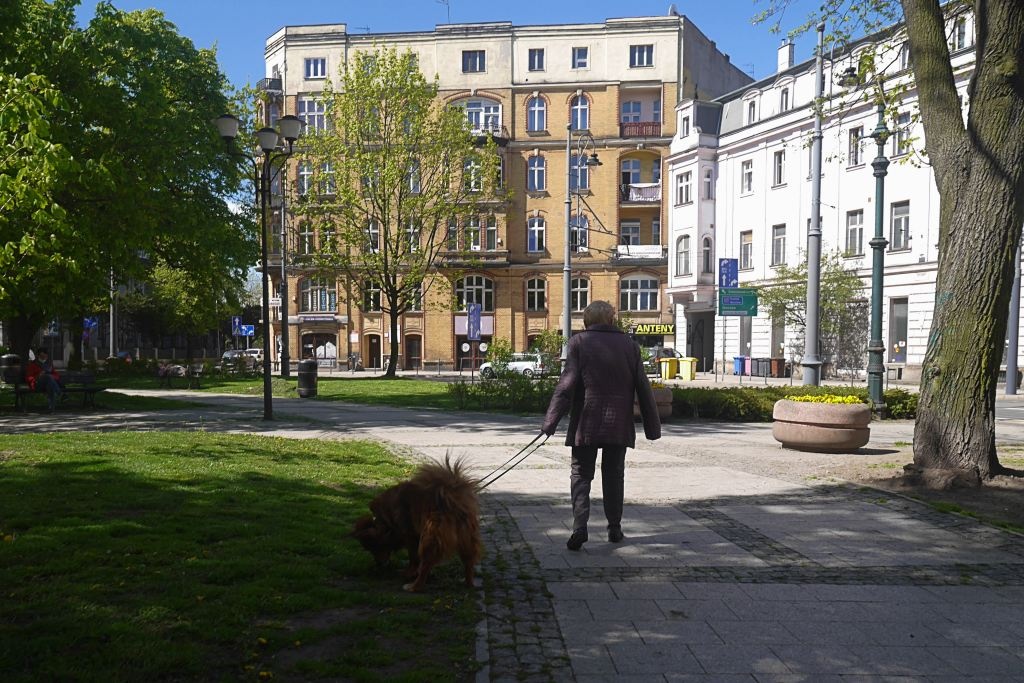 Dzień dobry Katowice. Będzie duża inwestycja na zapomnianej ulicy w centrum miasta