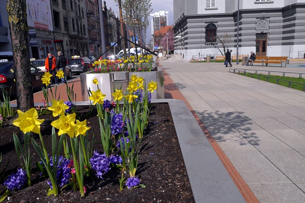 Dzień dobry Katowice. Dzisiaj radni podniosą opłaty za parkowanie