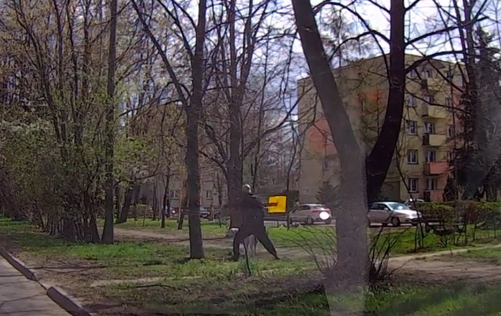 Mężczyzna wyżył się na tabliczce informującej o jeżach [WIDEO]
