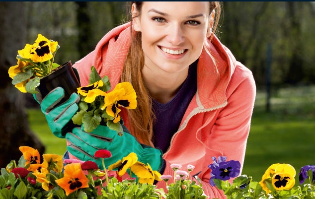 Bratki w zamian za elektrośmieci. Tuż przed zamknięciem market budowlany będzie rozdawał kwiaty