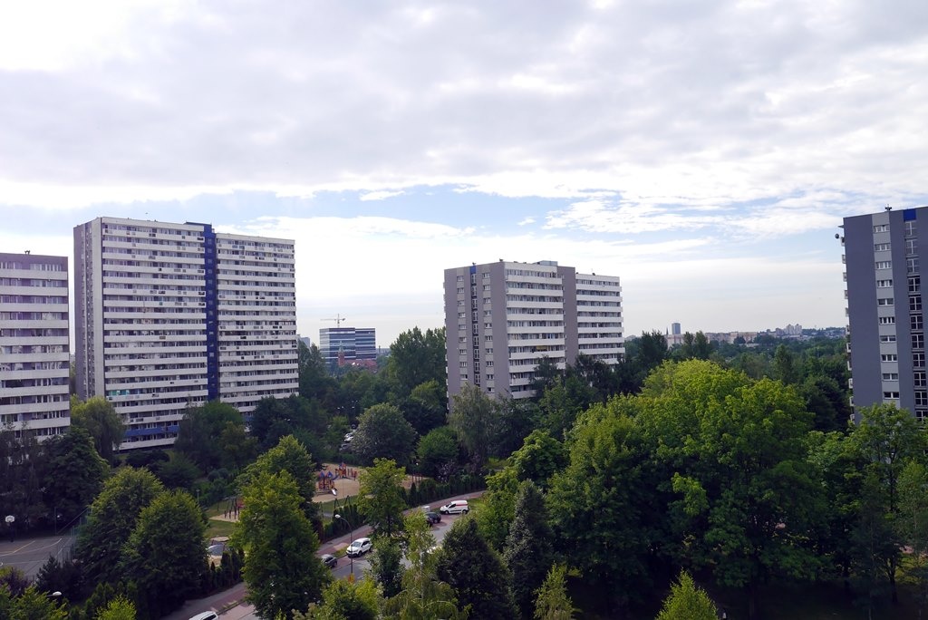 Pluskwy zadomowiły się już w całych Katowicach