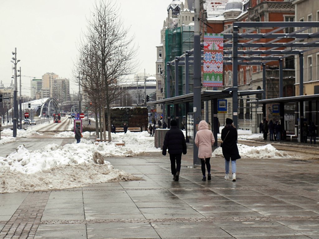 Dzień dobry Katowice. W regionie ruszają mobilne punkty szczepień