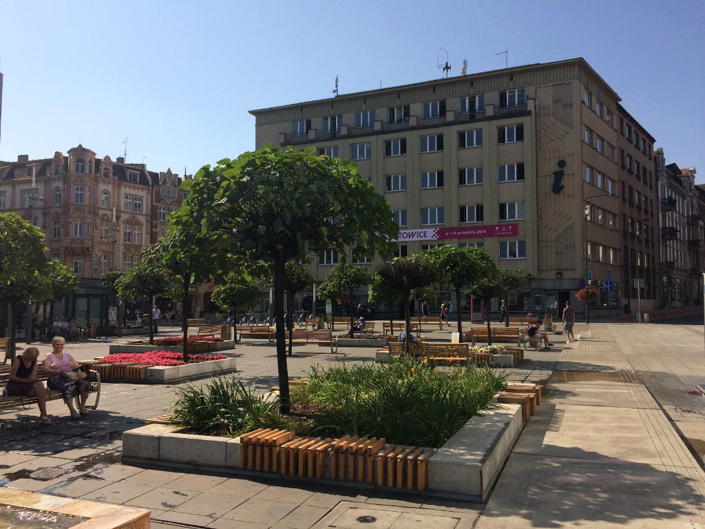 Miasto rozstrzygnęło przetarg na wymianę drzew na Rynku i ul. 3 Maja