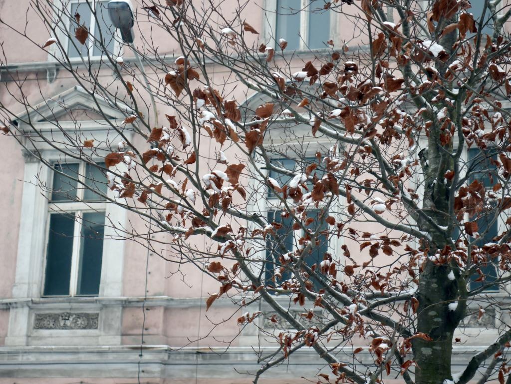 Dzień dobry Katowice. Na Dworcowej jednak będzie duży buk