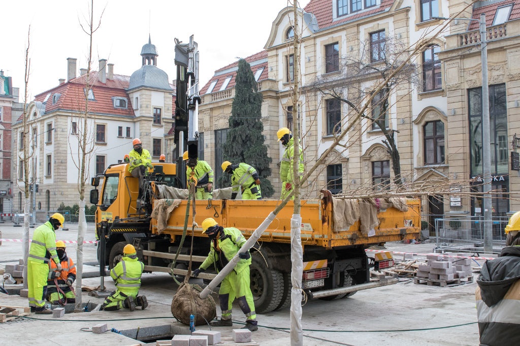 Kolejne przesunięcie terminu zakończenia przebudowy ul. Dworcowej. Rozpoczęło się sadzenie drzew