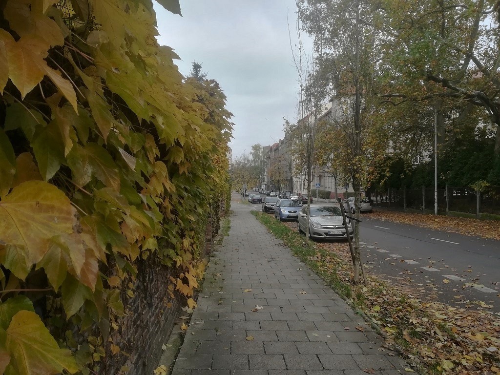 Dzień dobry Katowice. Wojsko wprowadzi się do zapomnianego gmachu w centrum miasta