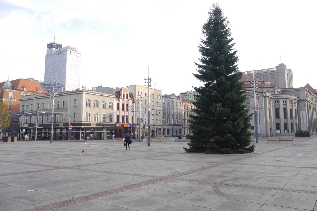 Dzień dobry Katowice. Rusza świąteczna baza przedsiębiorców