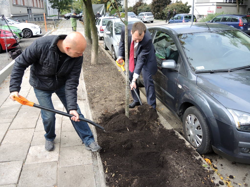 Katowice z prestiżową nagrodą. Miasto wygrało pieniądze na kolejny projekt społeczny