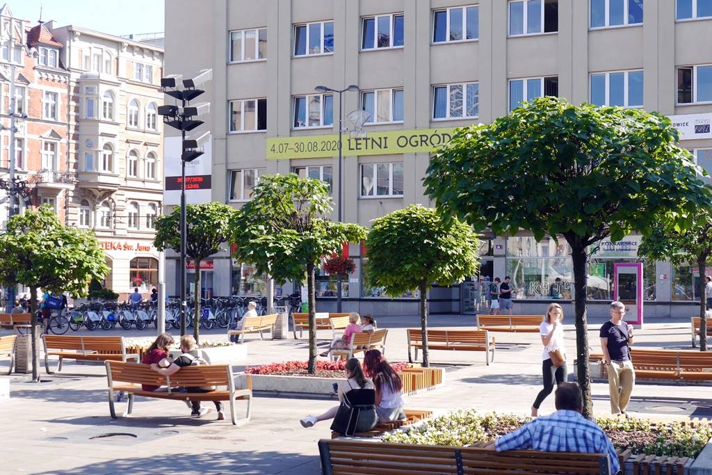 Dzień dobry Katowice. Miasto wymieni drzewa na Rynku