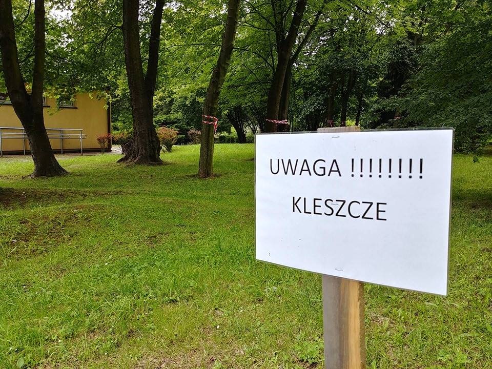Tabliczki z ostrzeżeniem przed kleszczami w chorzowskim zoo, ale wcale nie chodzi o kleszcze