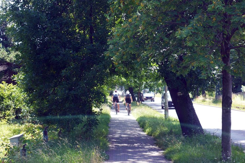 Dzień dobry Katowice. Ruszyła budowa kolejnych mieszkań