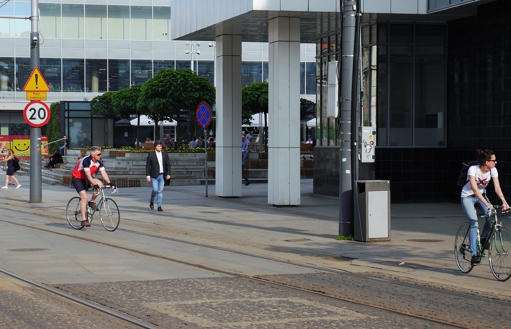 Dzień dobry Katowice. Miasto rezygnuje z wycinki drzew pod drogę rowerową