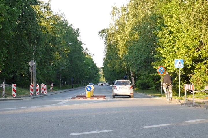 Dzień dobry Katowice. Mieszkańcy nie chcą wycinki drzew pod drogę rowerową