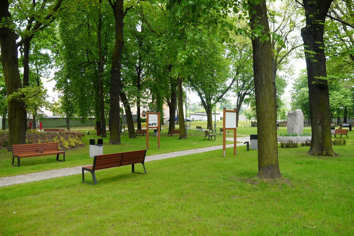 Katowice zaczynają oszczędzać. Na początek m.in. na zieleni